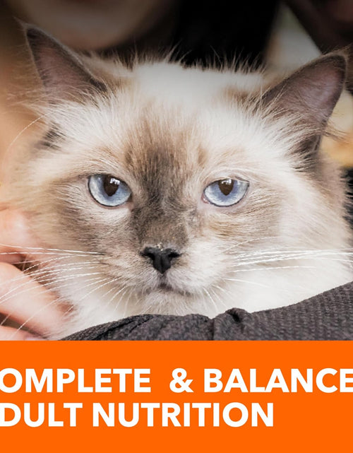 Load image into Gallery viewer, PROACTIVE HEALTH Adult Hairball Care Dry Cat Food with Chicken and Salmon Cat Kibble, 7 Lb. Bag
