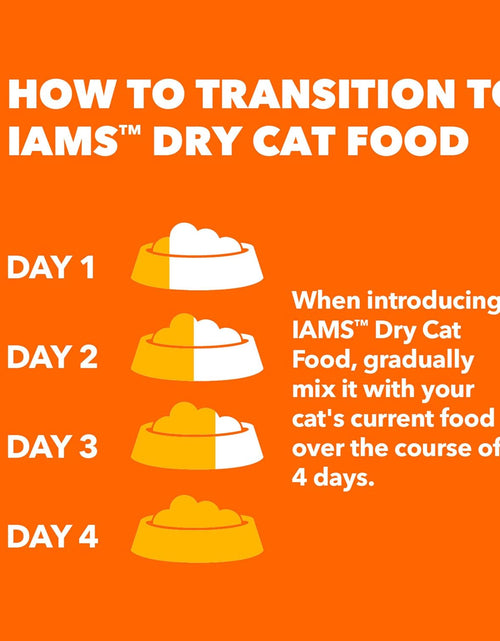 Load image into Gallery viewer, PROACTIVE HEALTH Adult Hairball Care Dry Cat Food with Chicken and Salmon Cat Kibble, 7 Lb. Bag
