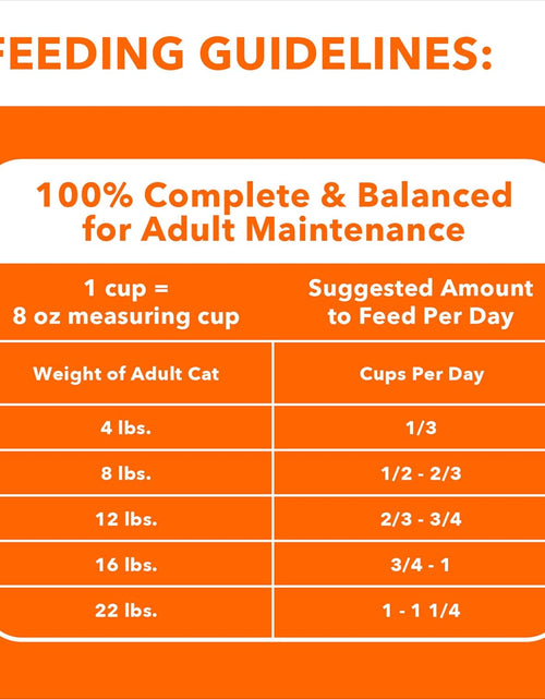 Load image into Gallery viewer, PROACTIVE HEALTH Adult Hairball Care Dry Cat Food with Chicken and Salmon Cat Kibble, 7 Lb. Bag
