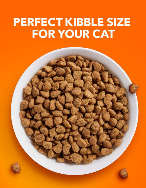 Load image into Gallery viewer, PROACTIVE HEALTH Adult Hairball Care Dry Cat Food with Chicken and Salmon Cat Kibble, 7 Lb. Bag
